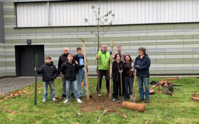 Baumpflanz-Challenge: Fünf Apfelbäume für die GaF