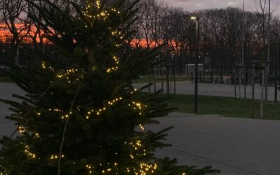Das Team der Gesamtschule am Forstgarten wünscht schöne Ferien!